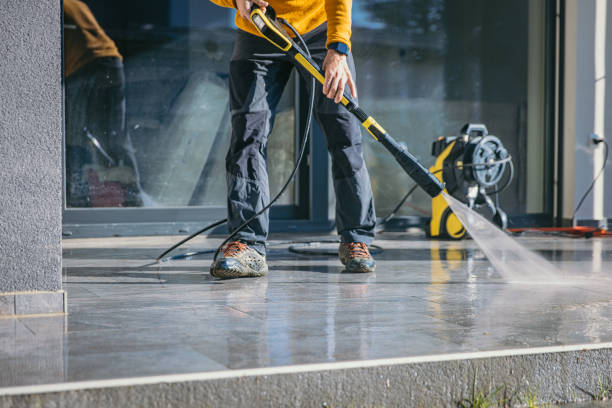Local Pressure Washing Services in Pierre Part, LA